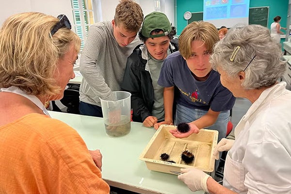 A group of college students hold and examine sea urchins in a classroom