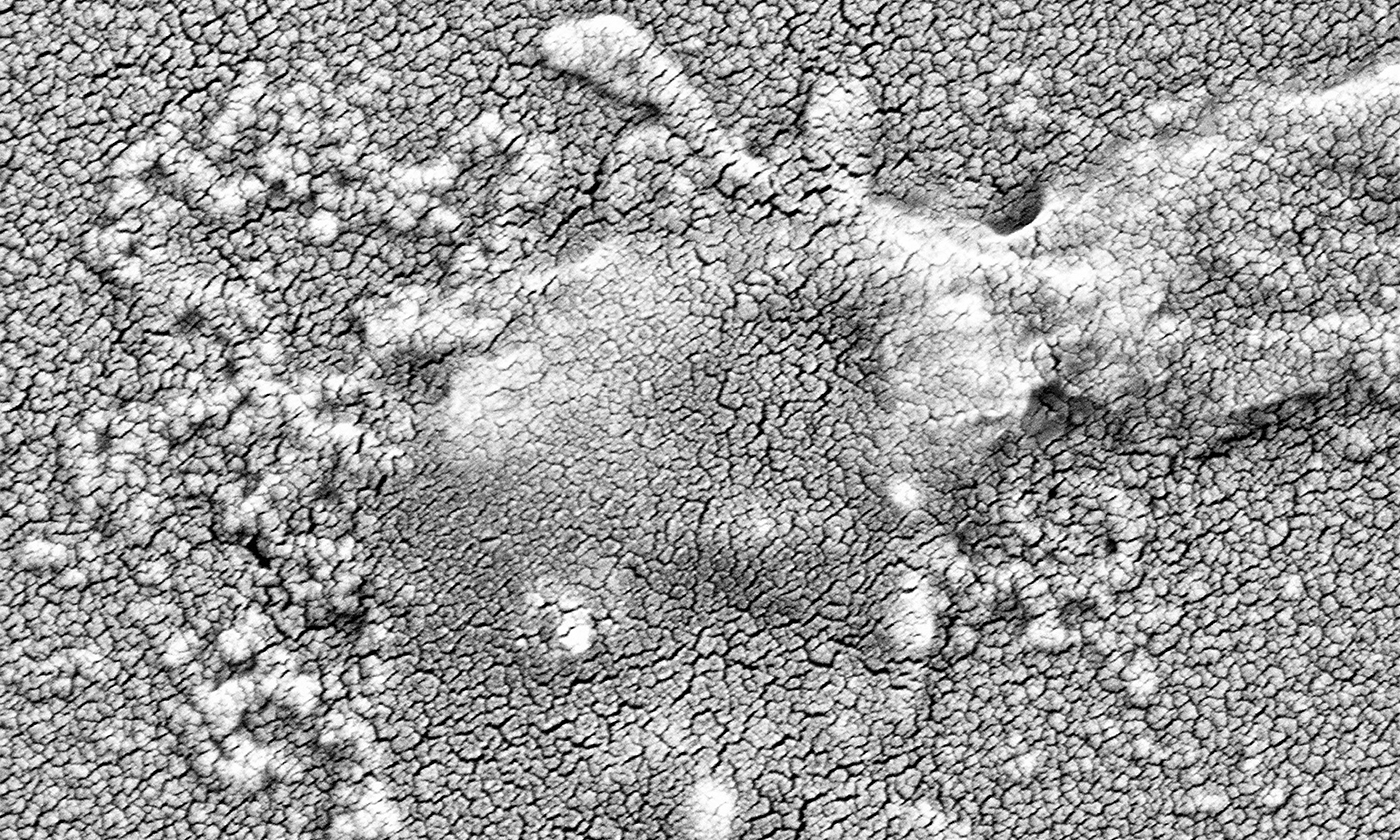 Microsope image of a bacterium that has burst open