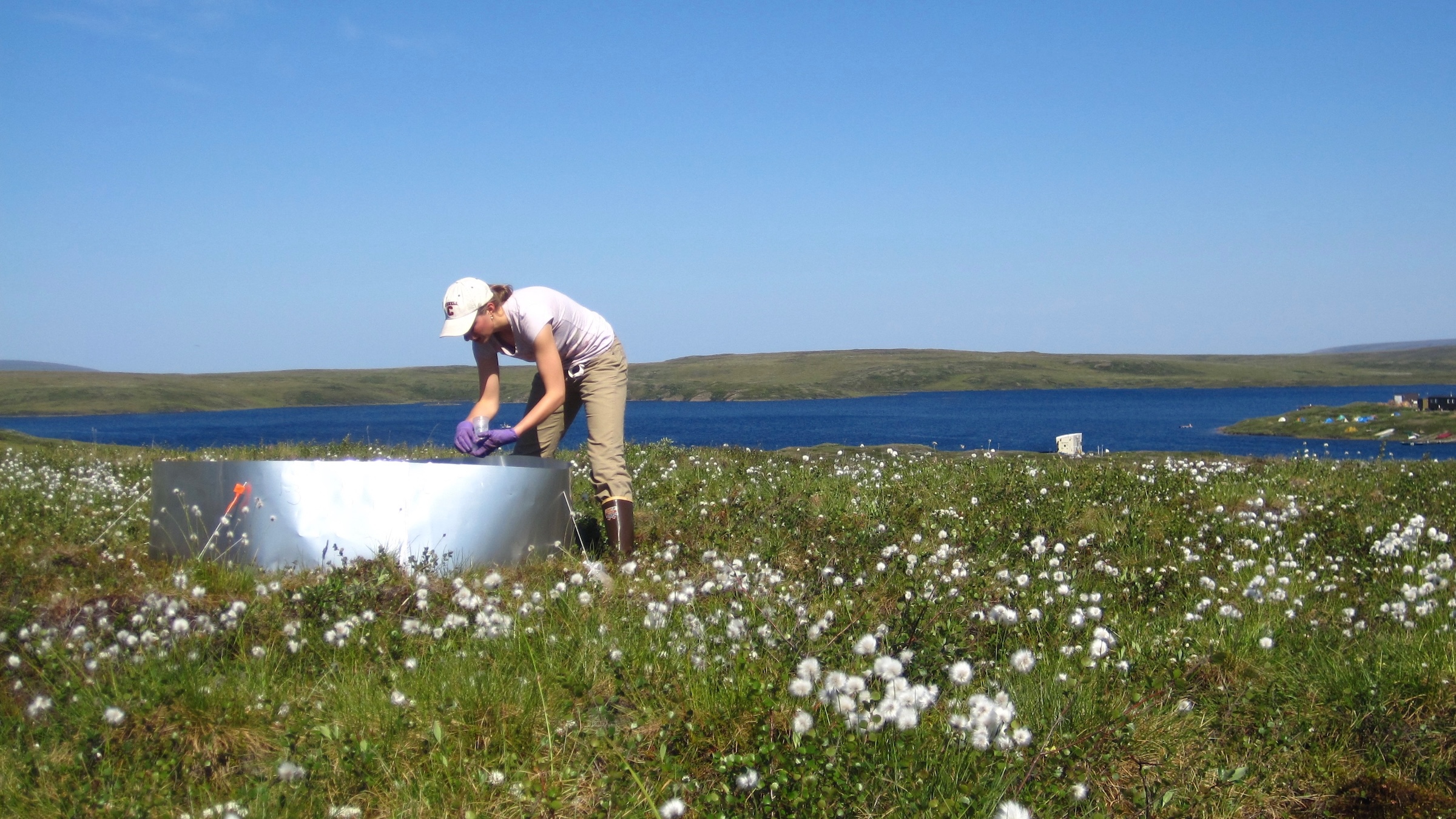 A scientist in a cap, t-shirt and long pants stands in a meadow area near a lake and hills examining results within a tin container