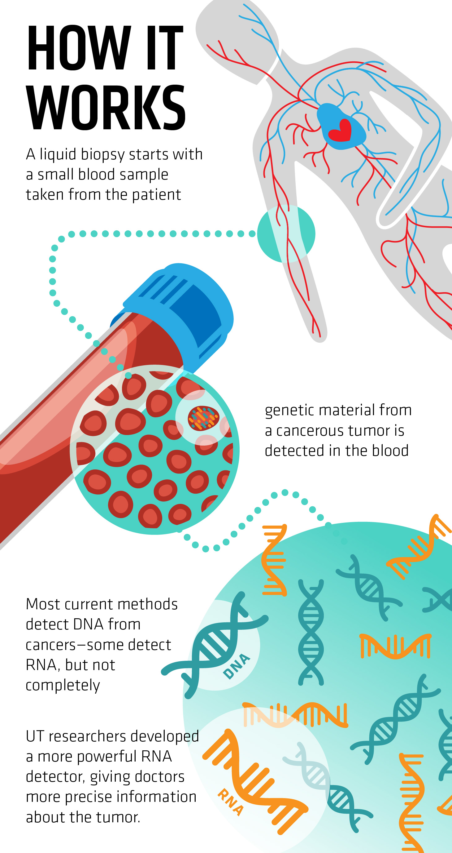 Illustration showing how liquid biopsies work