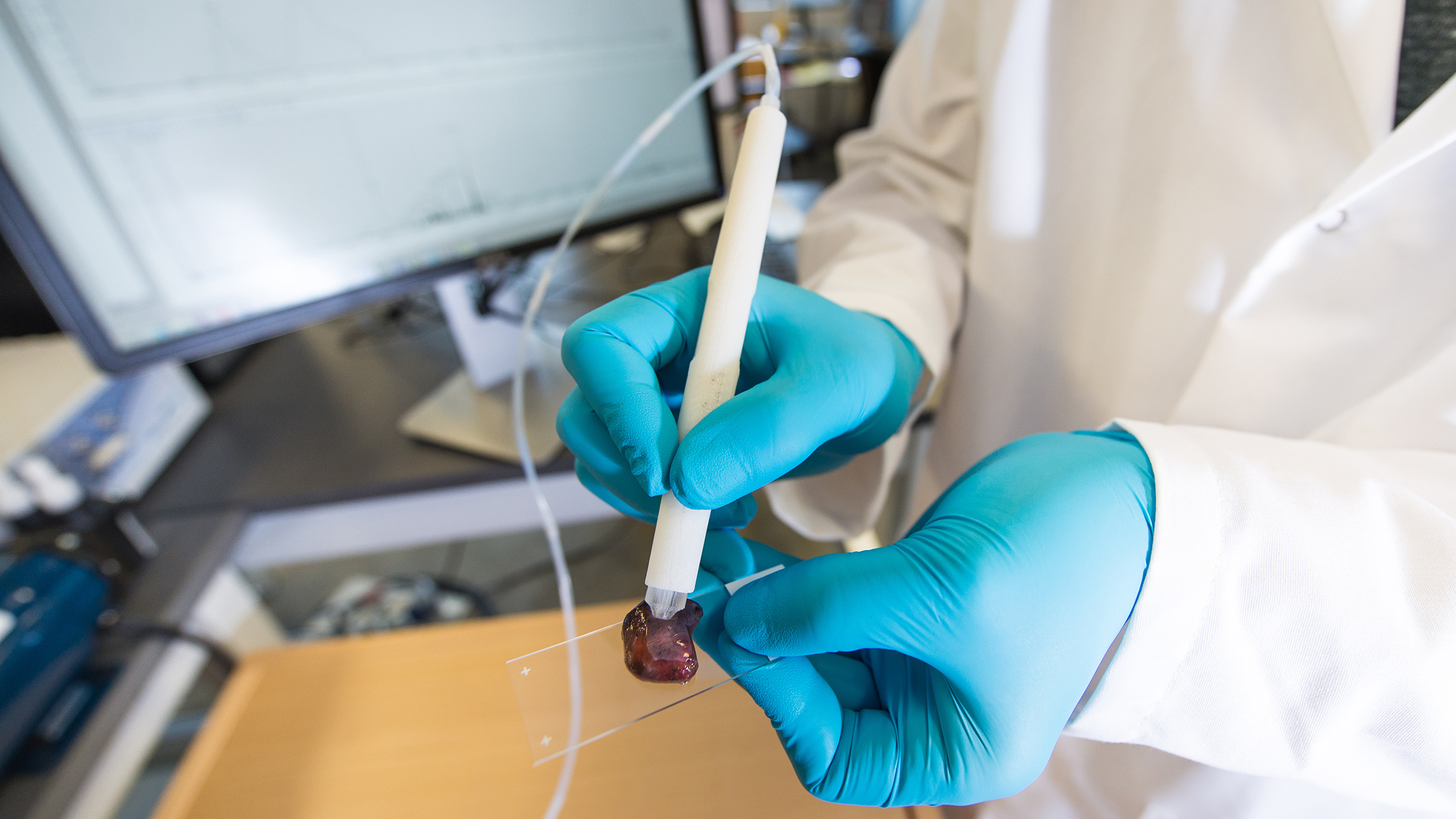 Scientist in white labcoat and blue gloves touches a pen-like device to a red tissue sample