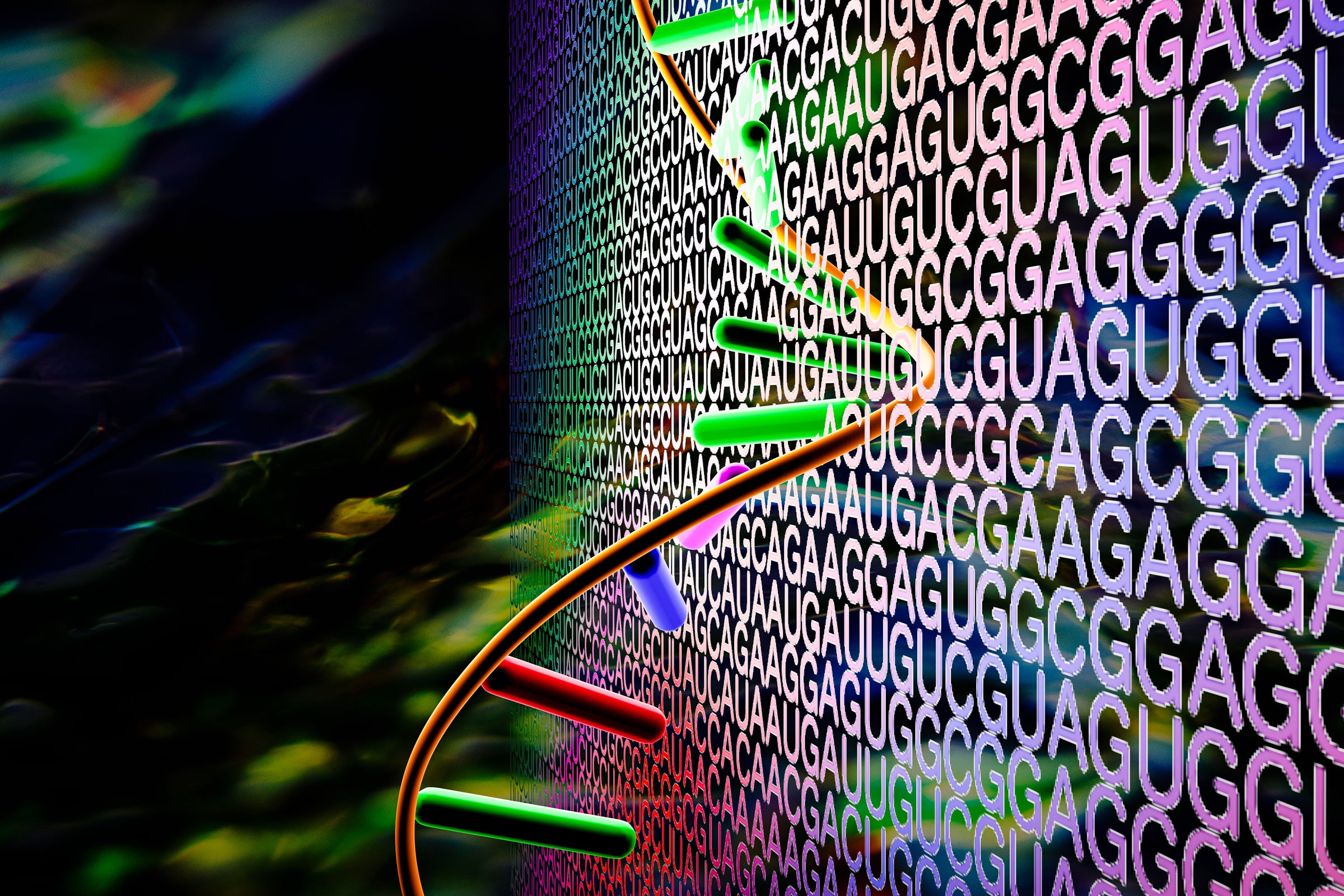 An illustration of a string of RNA and a wall of letters representing the nucleotides in an RNA sequence