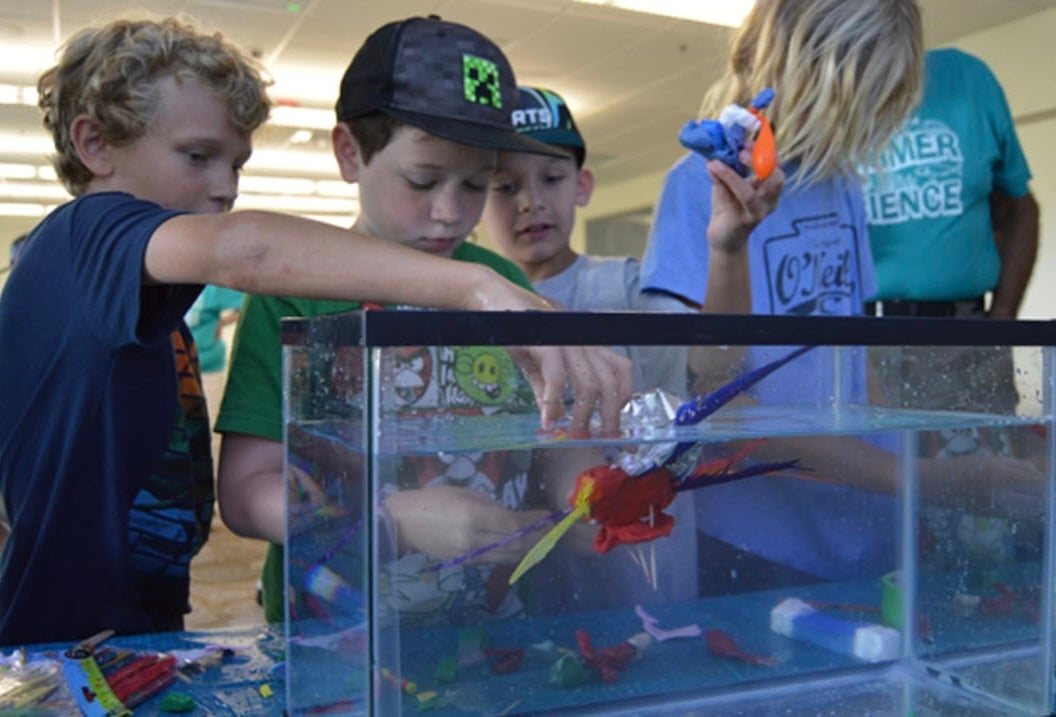Elementary school-aged boys examine and put hands in a tank as an adult in a "Summer Science" t-shirt looks on.