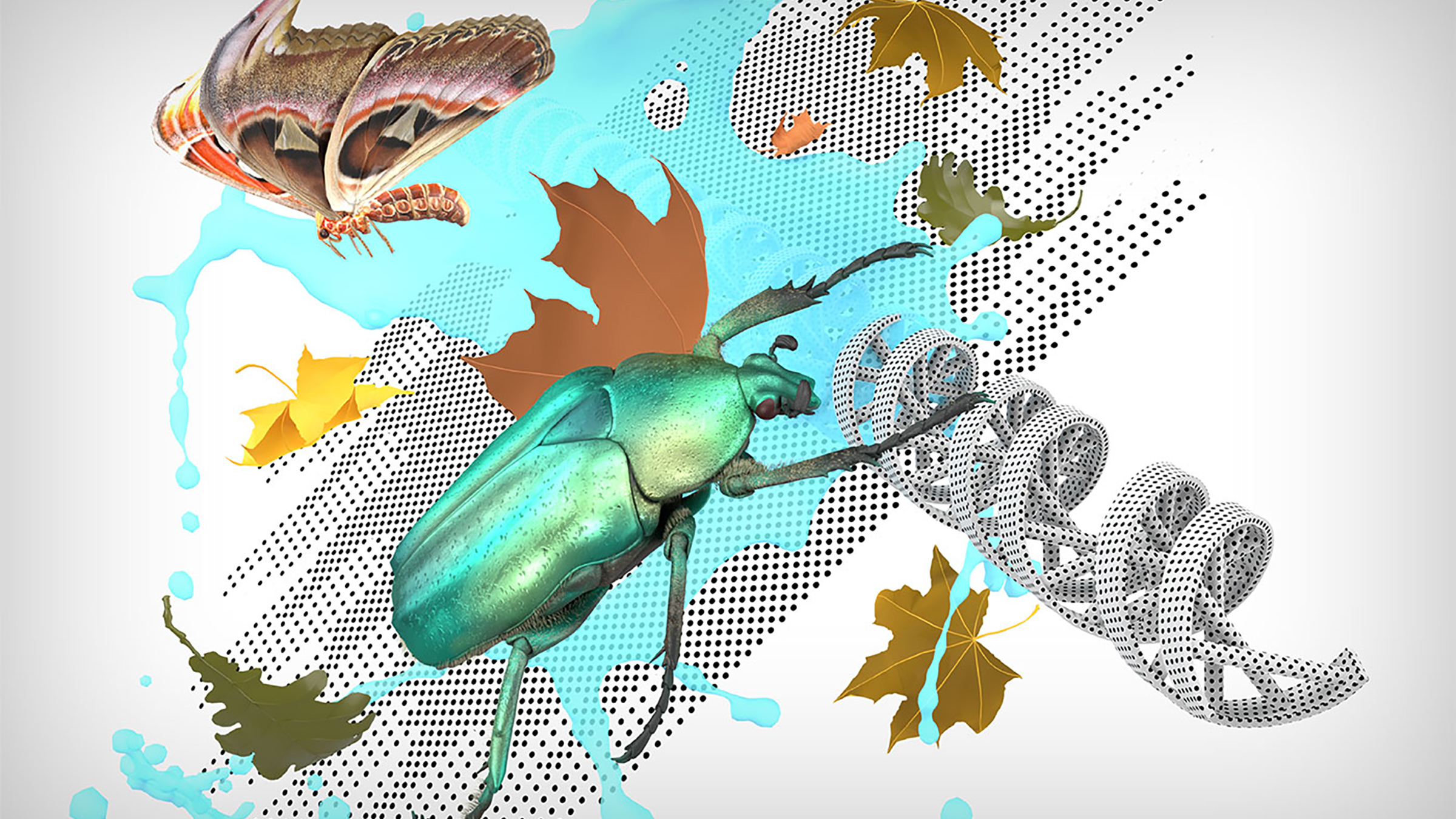 A montage of beetles, leaves, butterflies and DNA