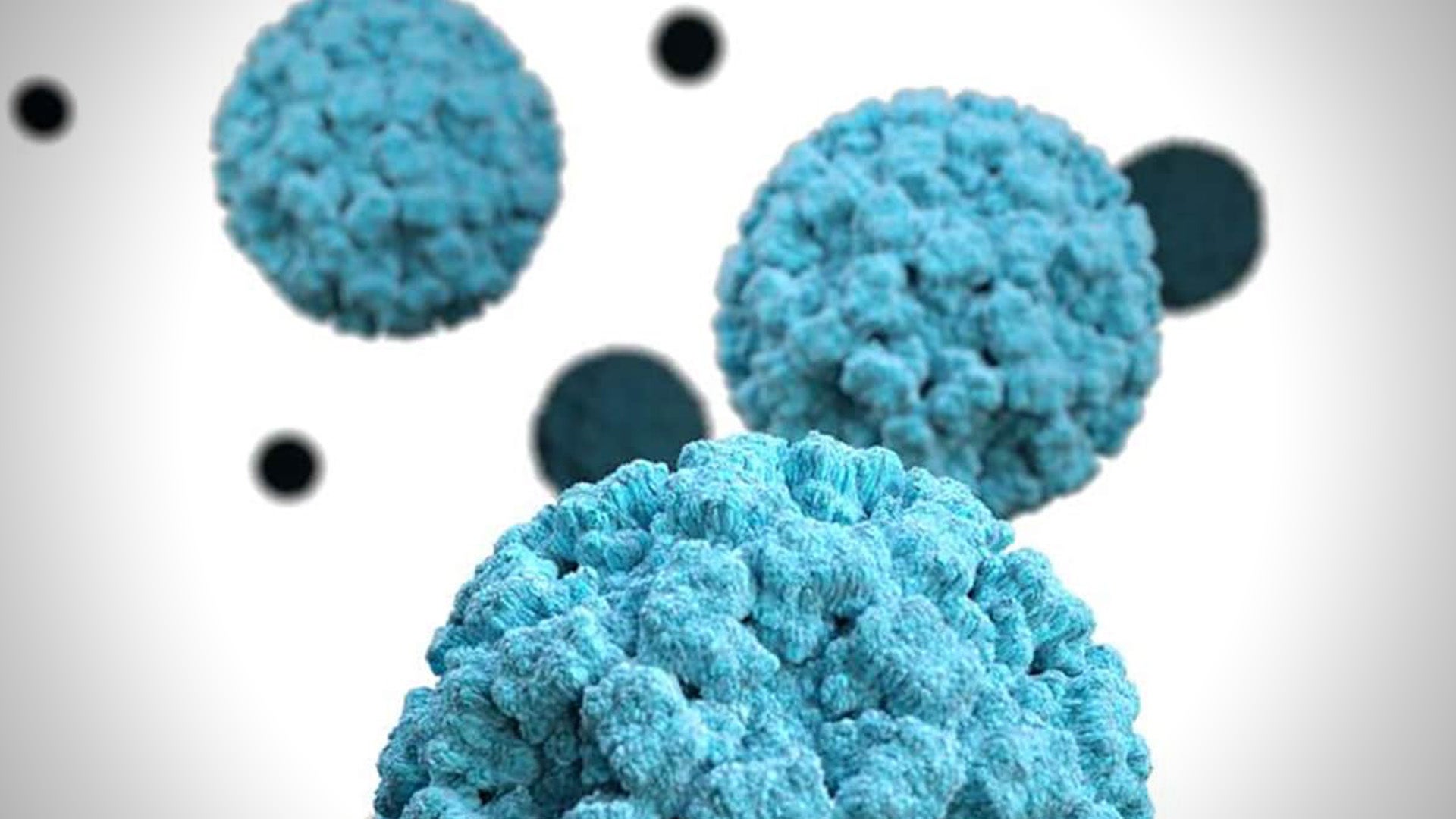 artist rendering of norovirus. blue spiked balls against a white background