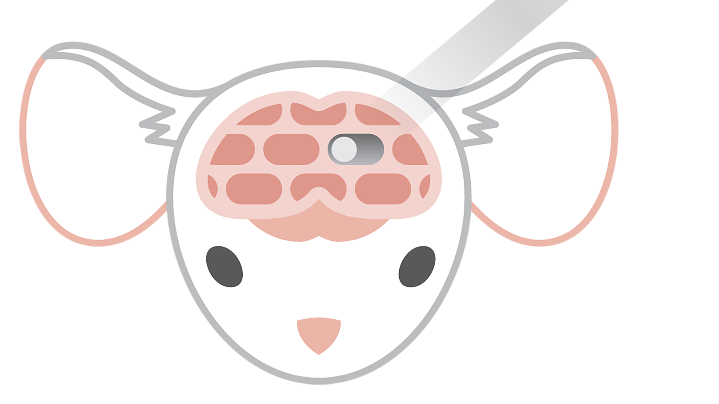 Illustration of a mouse with see-through brain and a light striking an on-off switch in the brain