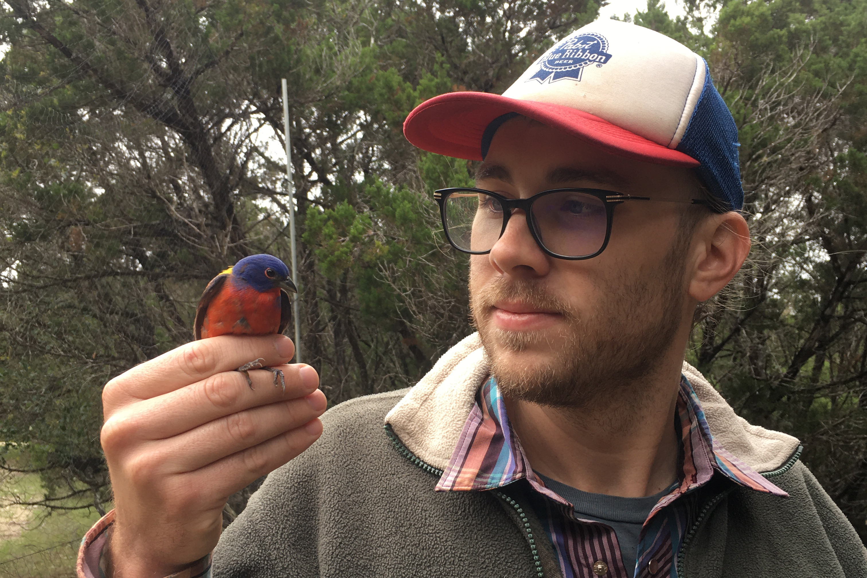 Erik Iverson with a Painted Bunting