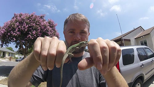 Dr. Greg Pauly doing fieldwork