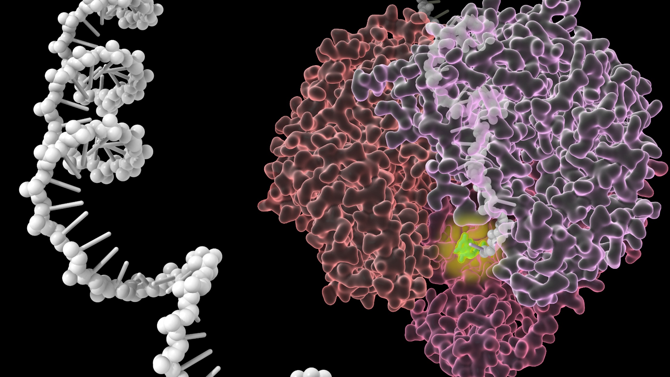 A twisting representation of an enzyme next to and in a clustered blob culminates in a glowing reaciton