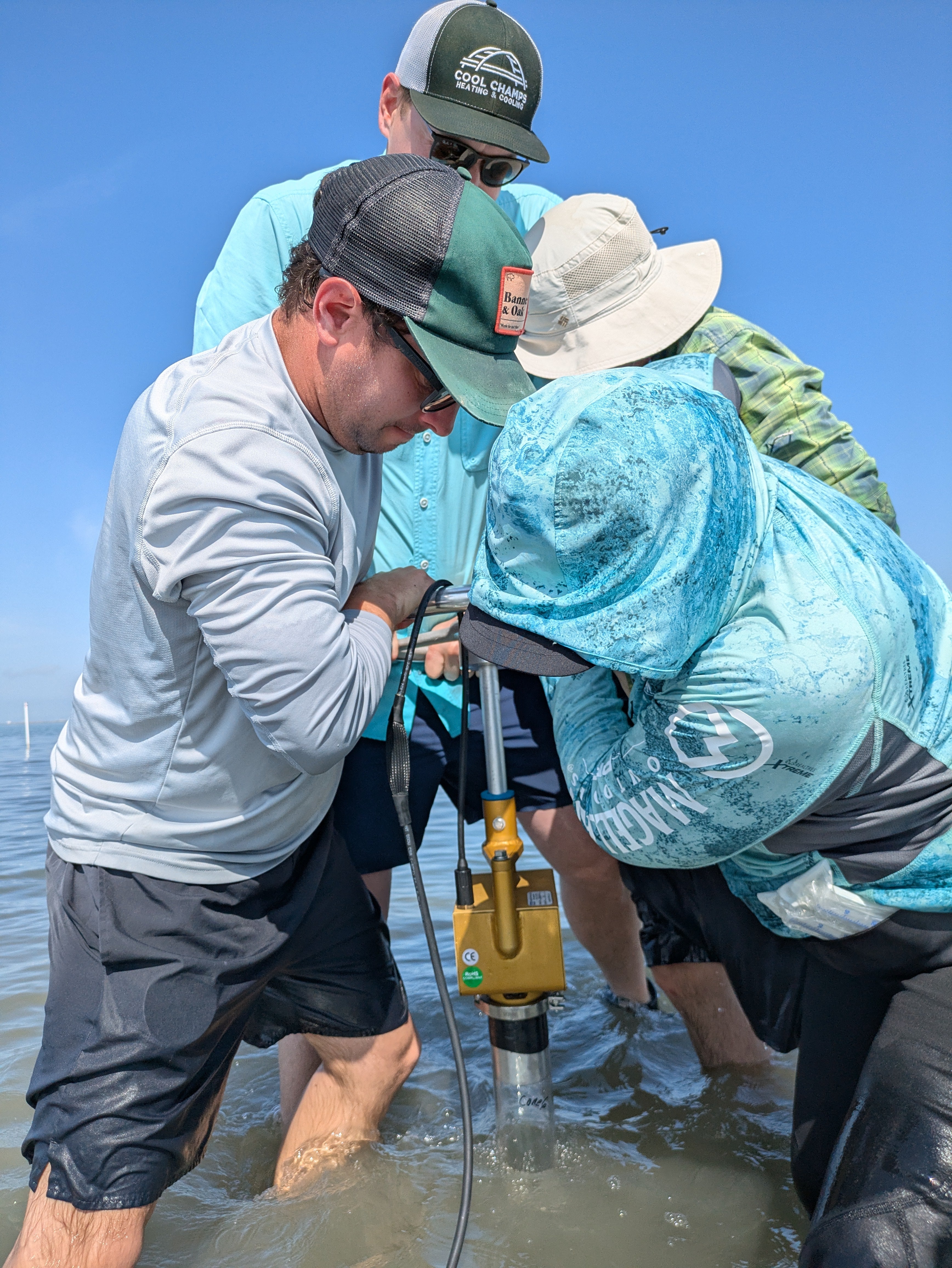 Four researchers standing in knee deep water push down on the top of a long tube for removing sediment cores.