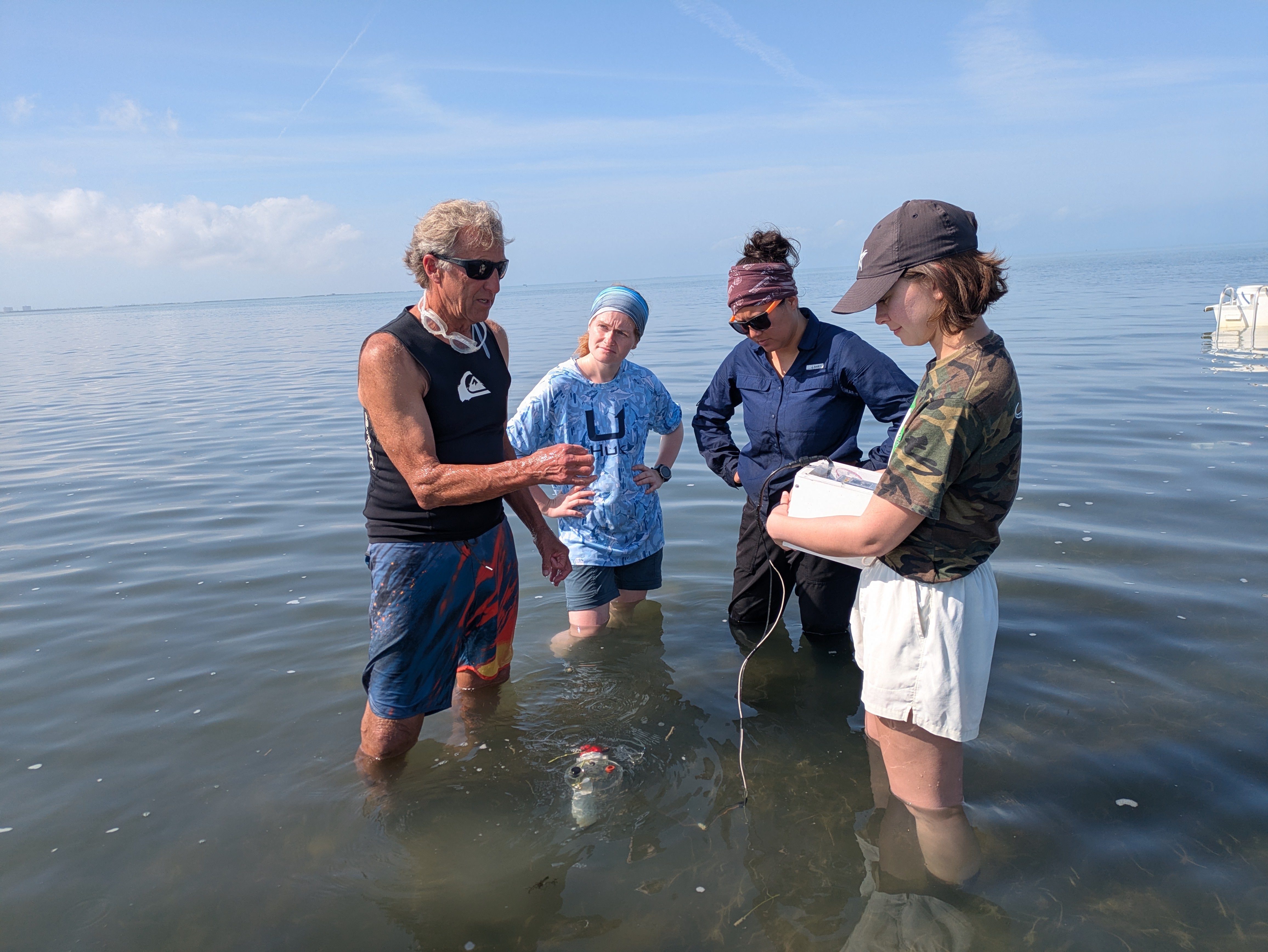 Four scientists stand in knee deep water in a seagrass bed on the Texas coast. A small white instrument sits in the water between them as they discuss their field research.