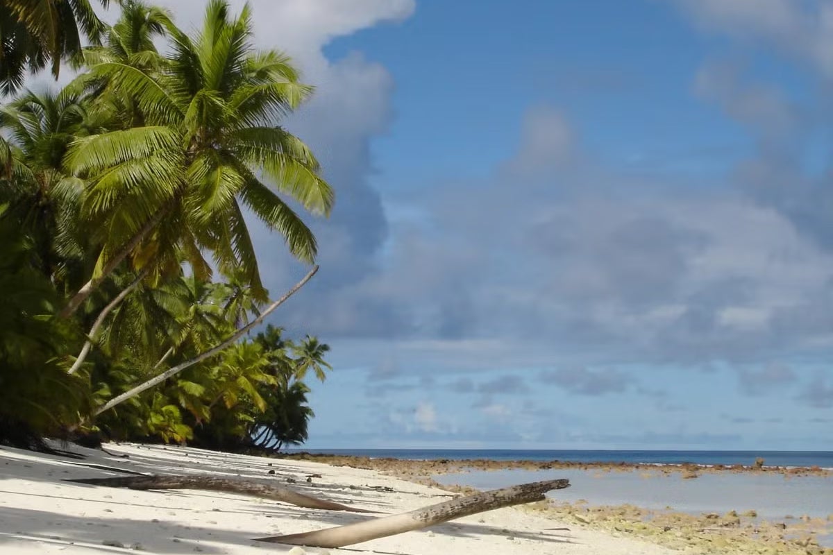 A sandy beach with palm trees and a blue sky above with white clouds