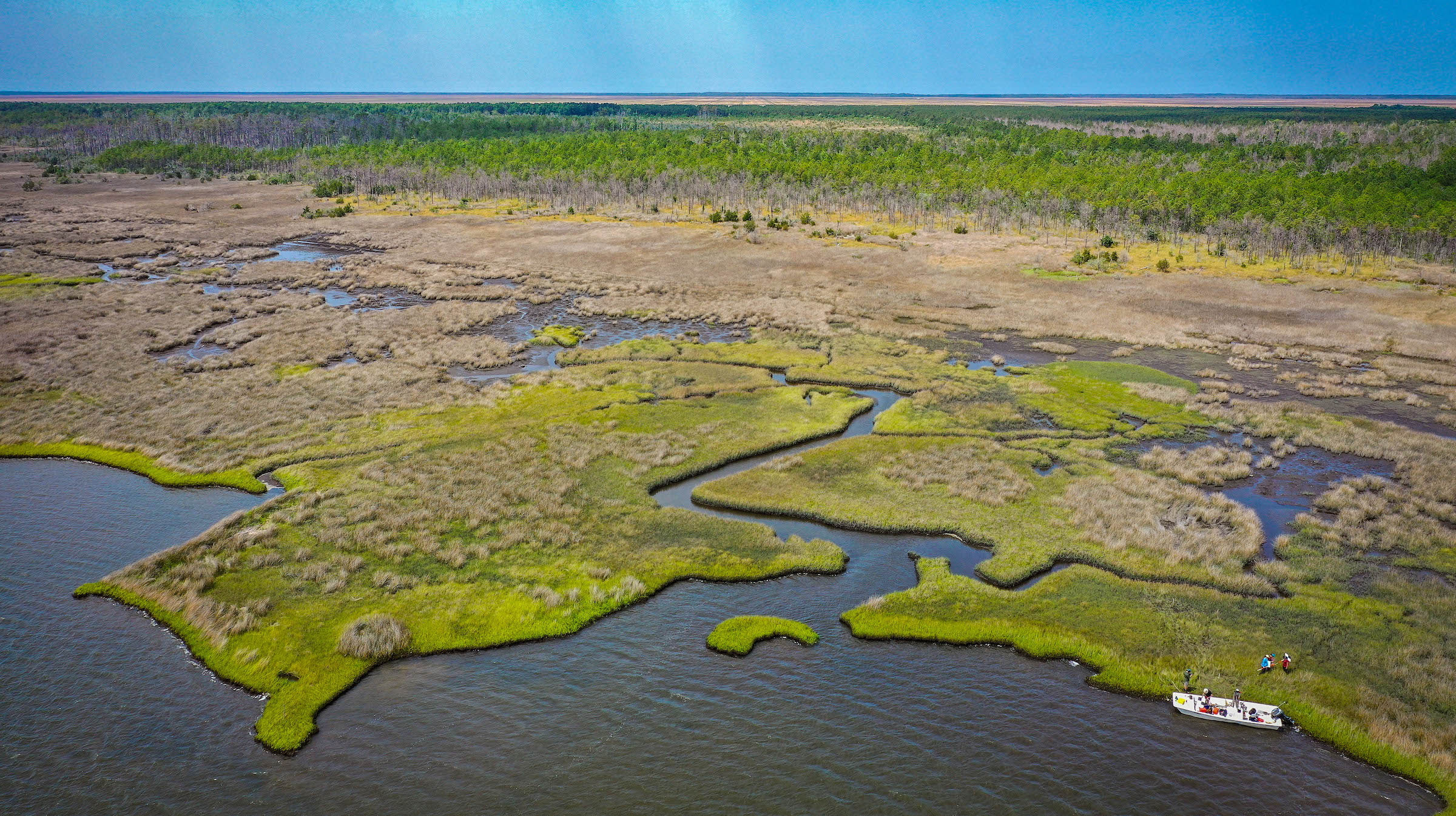 An aerial shot of a salt marsh showing land water and a vessel