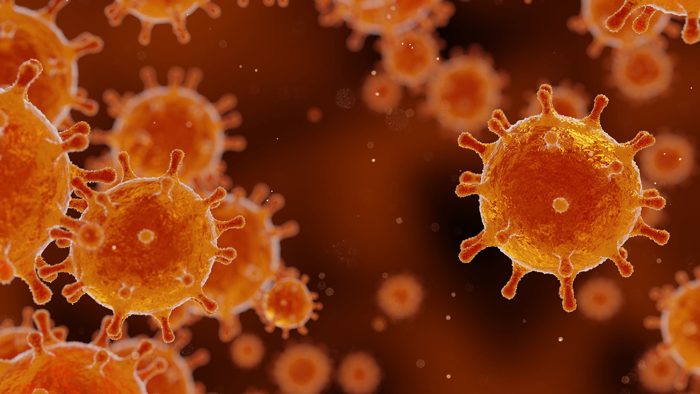 Ball-shaped viruses with studs poking from their surfaces floating in the body