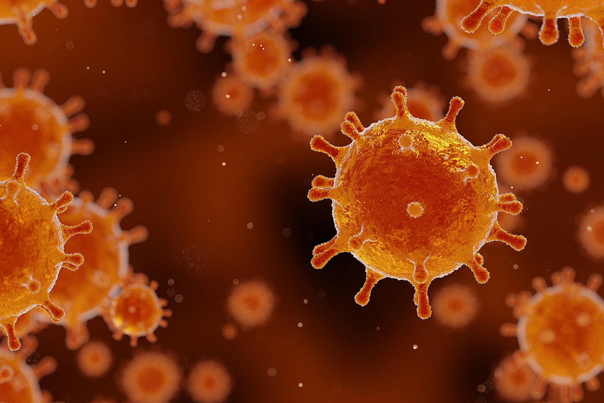 Ball-shaped viruses with studs poking from their surfaces floating in the body