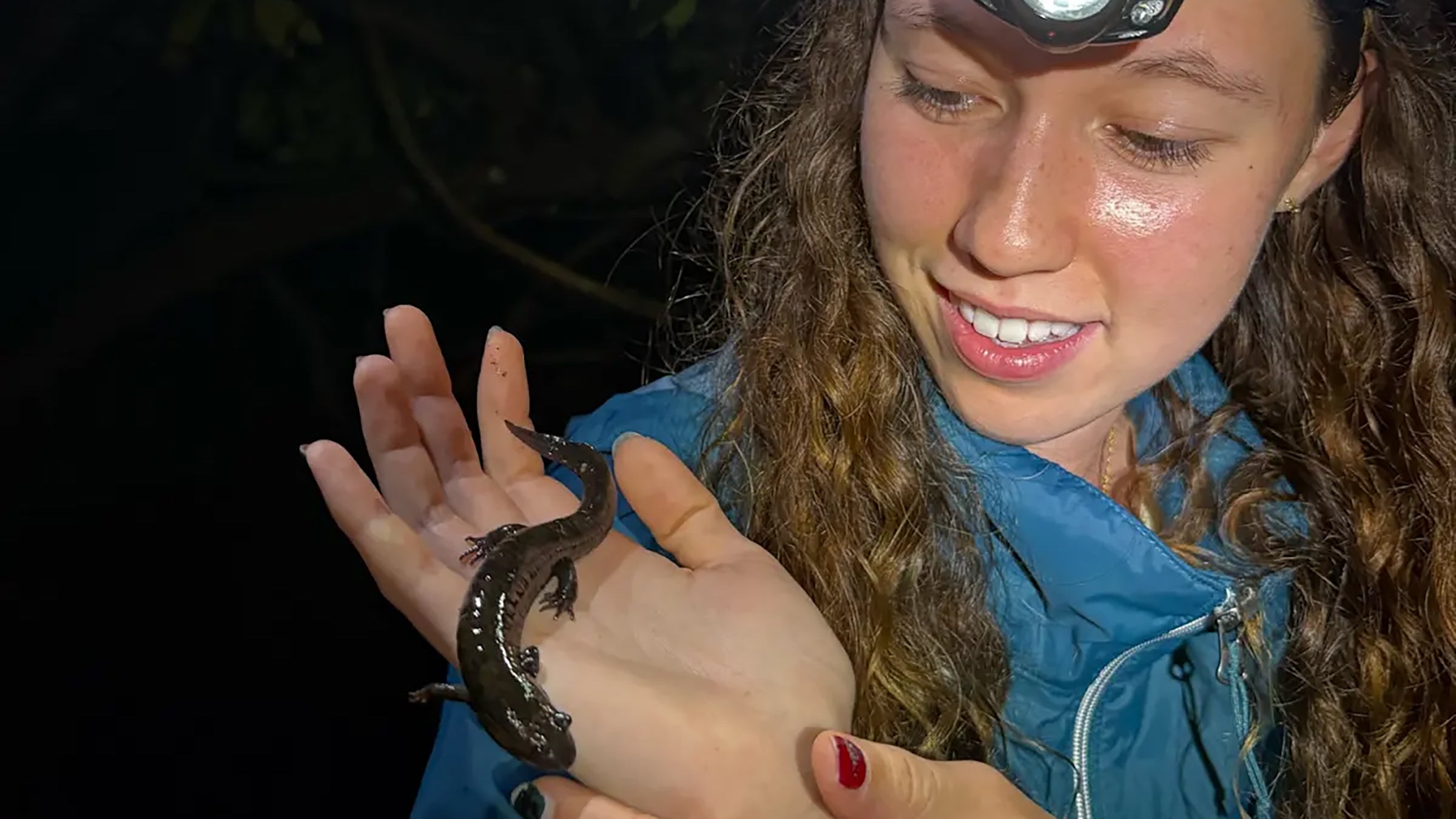 A woman wearing a headlamp holds a dark gray amphibian in her hand
