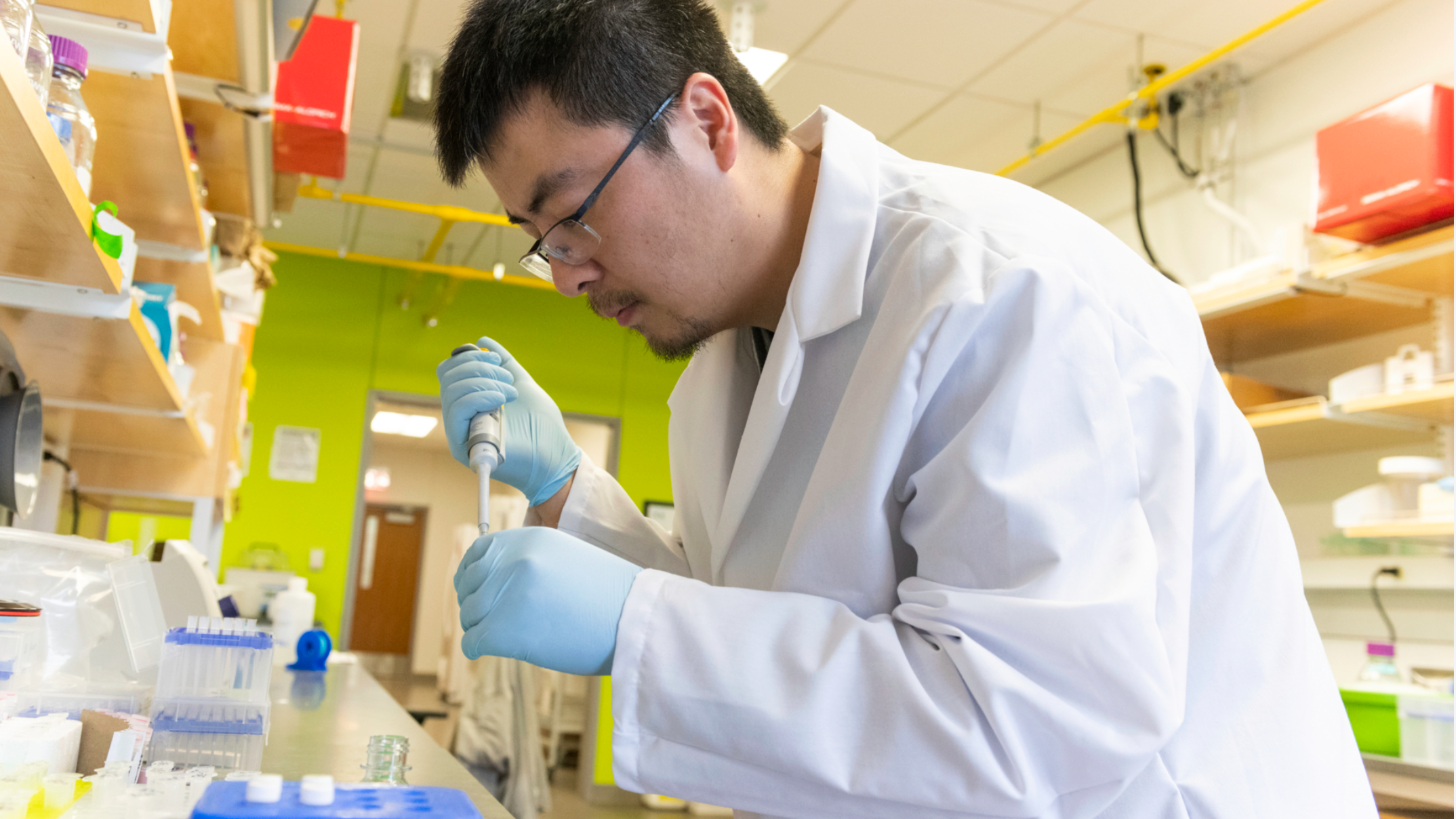 Scientist working in a lab