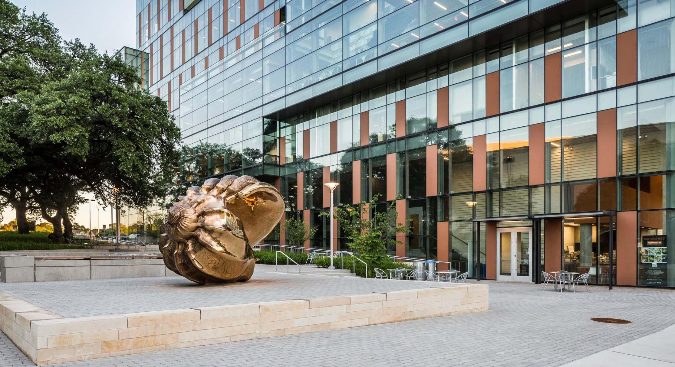Dell Medical School 