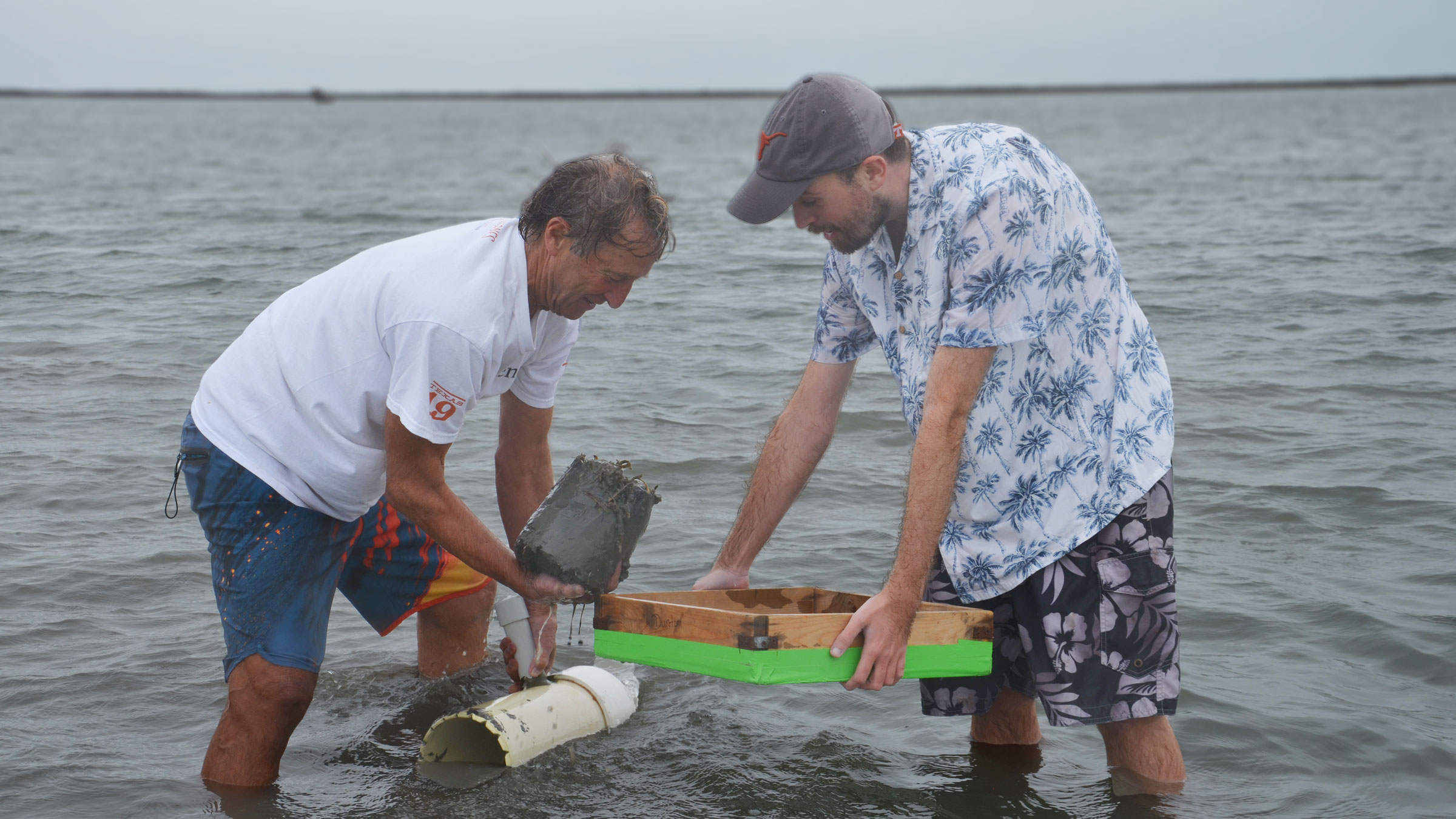 Two scientists stand in shin-deep coastal waters peering into a box at a sample