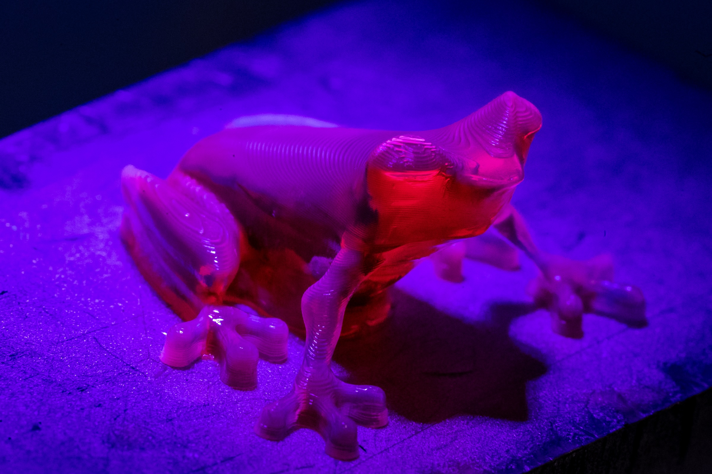 A red plastic 3D printed frog illuminated by UV light