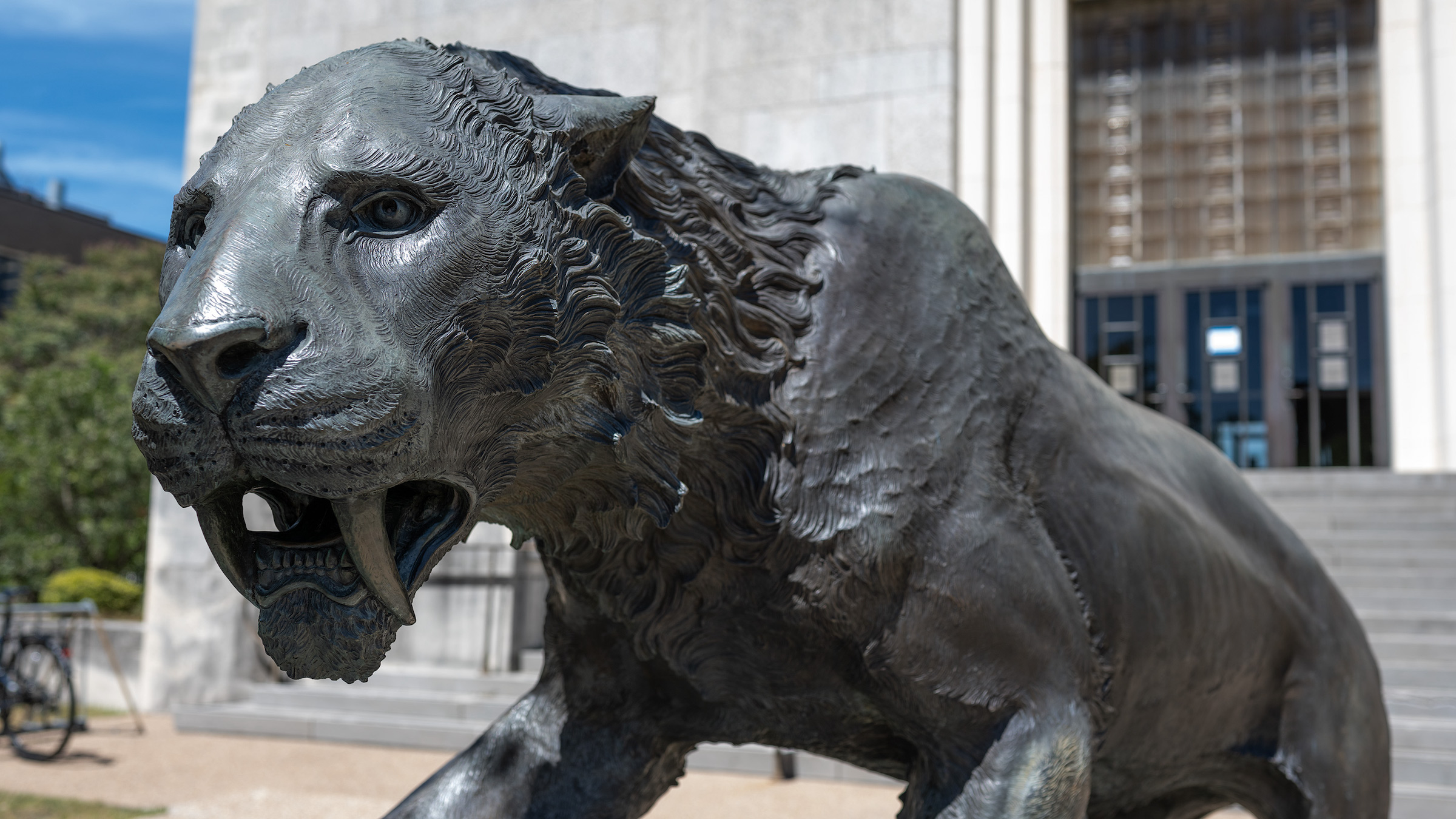 Statue of a sabertooth cat outside the Texas Memorial Museum