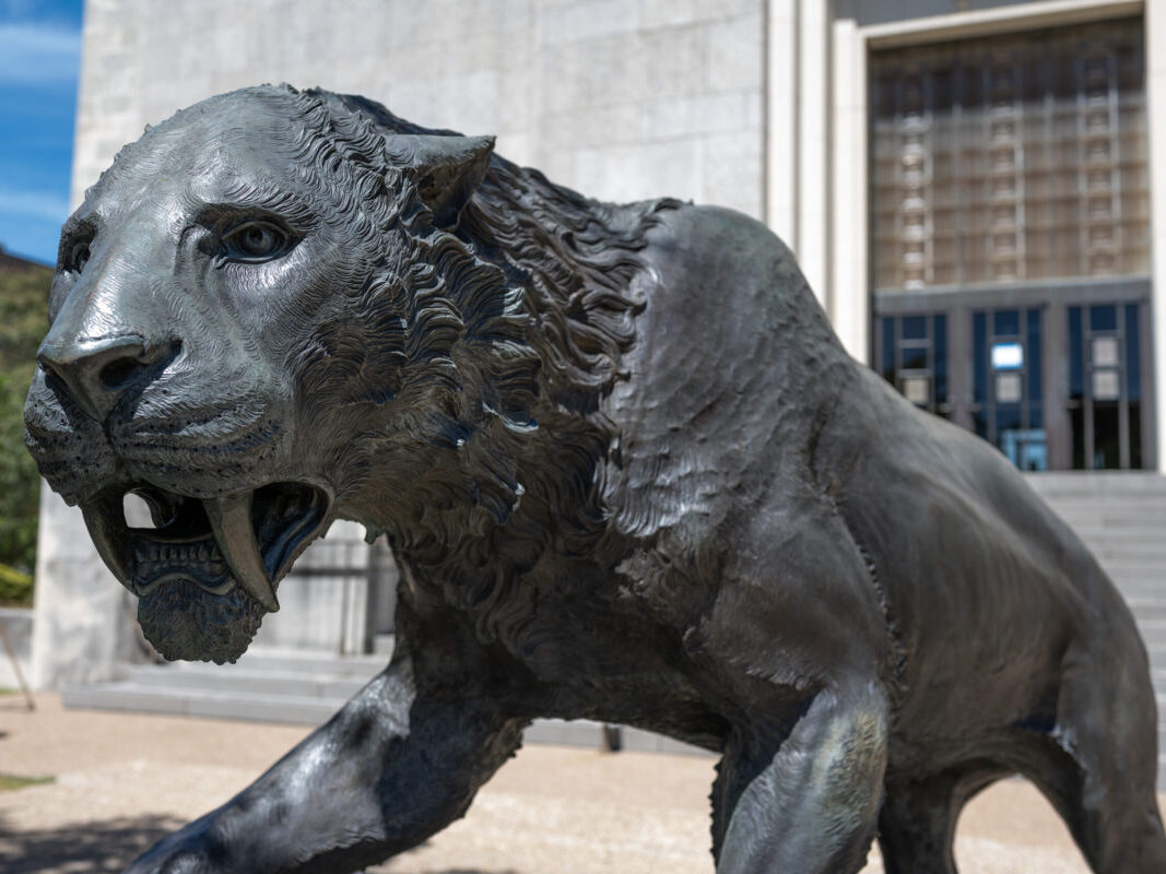 A sculpture of a sabertooth cat is outside of a museum building on the UT Austin campus