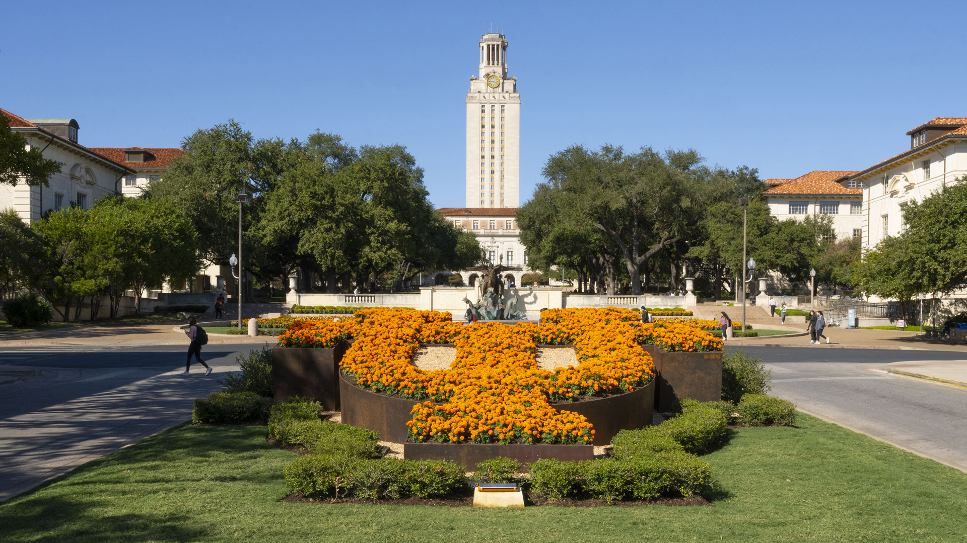 Photo of UT Tower with flowers in foreground.