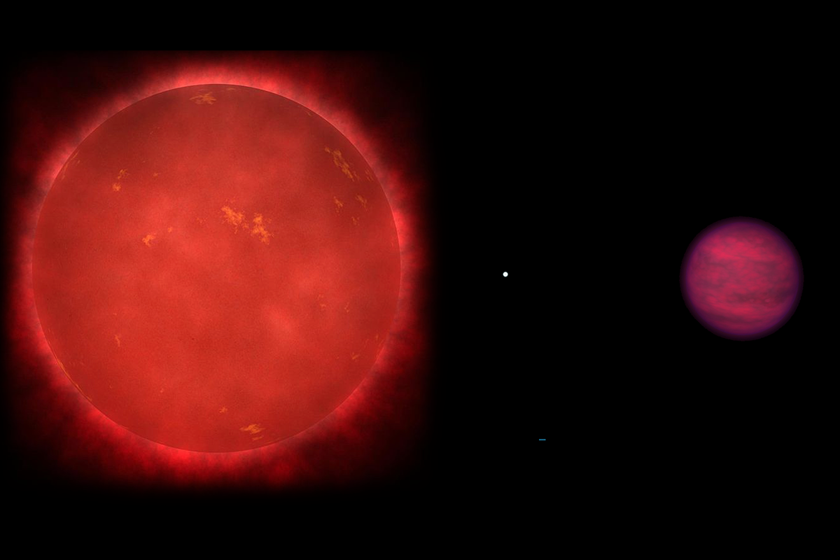 Illustration of the Wolf 1130ABC triple system, composed of the red dwarf star Wolf 1130A, its close and compact white dwarf companion Wolf 1130B, and the distant brown dwarf tertiary Wolf 1130C. The three components of this system are shown scaled to their relative sizes. Image credit: Adam Burgasser, UCSD.