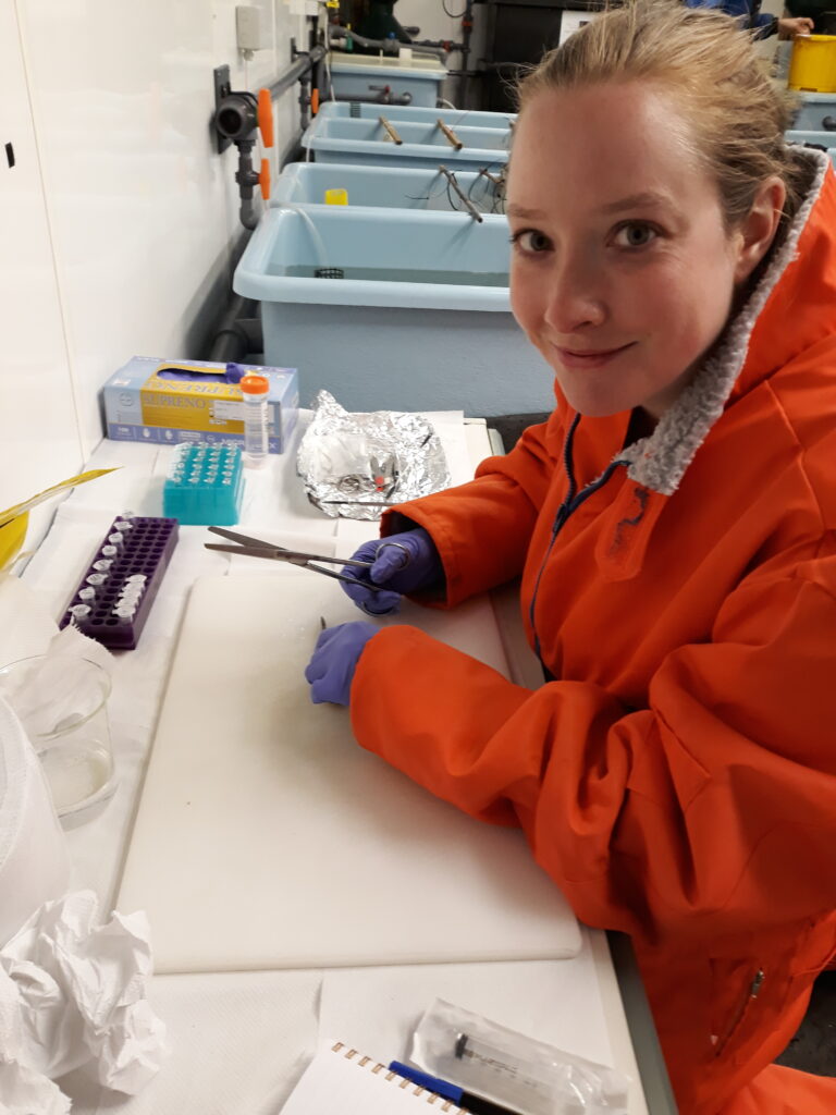 A person in a red parka and purple latex gloves does research at a lab bench